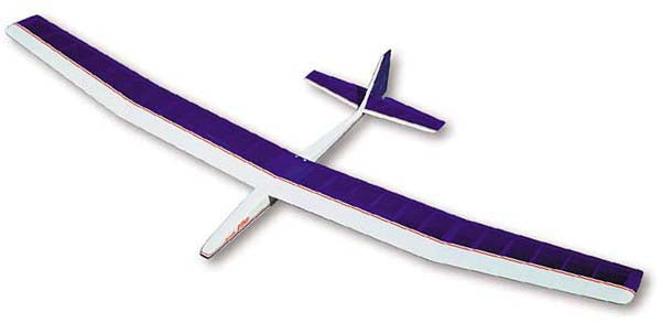 SIG Riser 100 kit aliante in balsa 2540 mm
