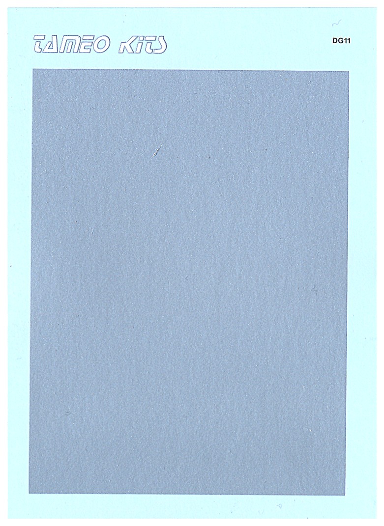 Tameo DG 11 decal argento lucido 103x87