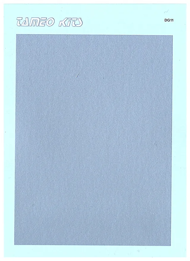 Tameo DG 11 decal argento lucido 103x87