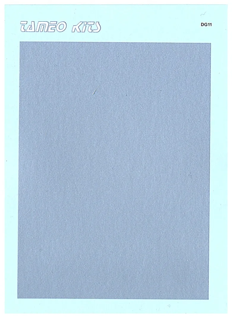 Tameo DG 11 decal argento lucido 103x87